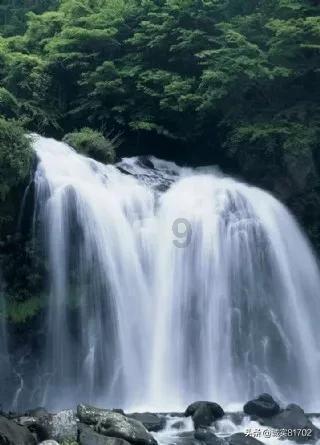 ”见行见效 津彩绽放”活动参赛作品：腊八粥啊腊八节